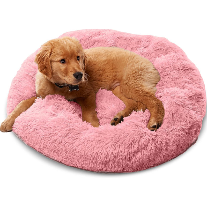 Wayfair large dog beds sales